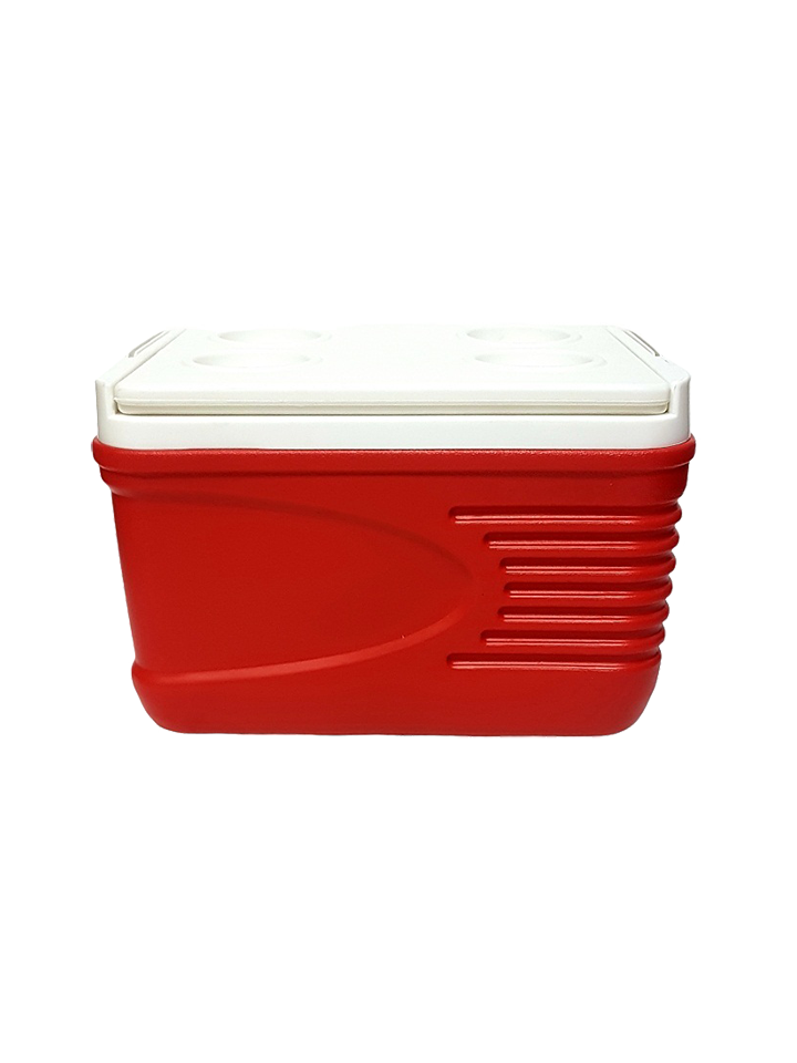 Cooler porttil de 6 litros