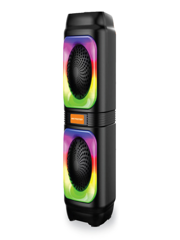 BOCINA 2X4 PREMIER