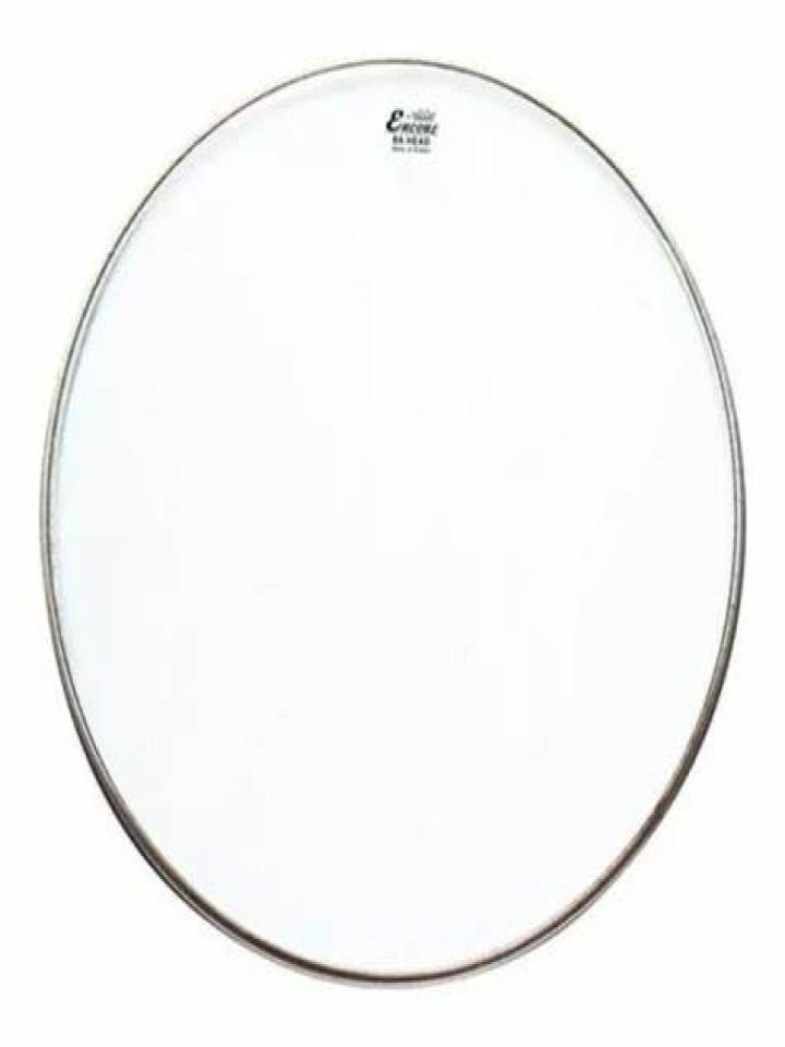 CUERP24TRANSPARENTE