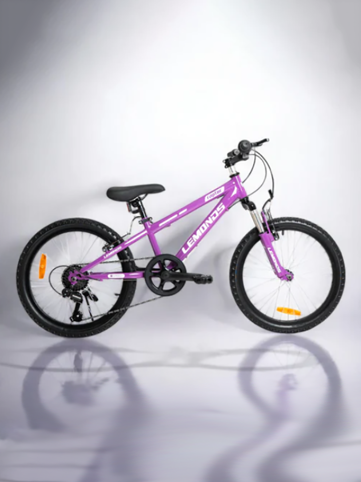 Bicicleta MontaNera 20