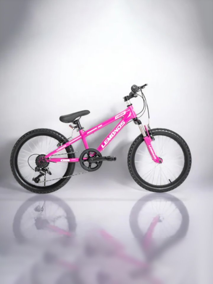 Bicicleta montaNera 20