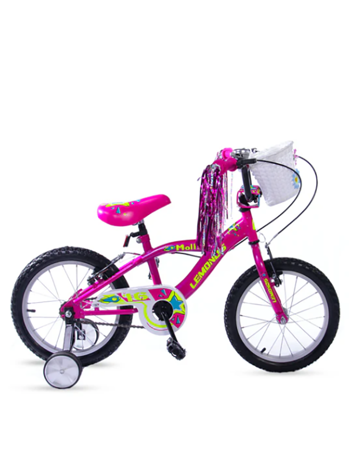 Bicicleta 16