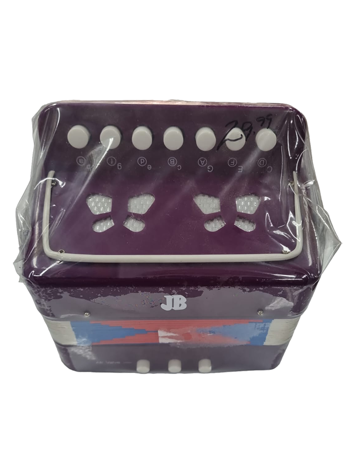 ACORDEON DE NINO