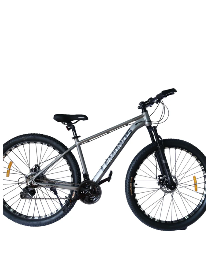BICICLETA 29 COLOR GRIS
