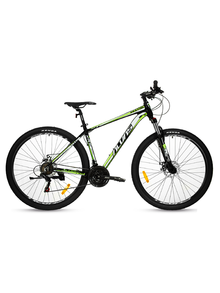 BICICLETA PASTOR RIN 29