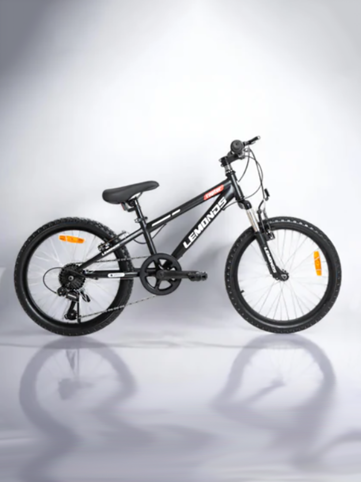 Bicicleta Raptor  20 de  cambio