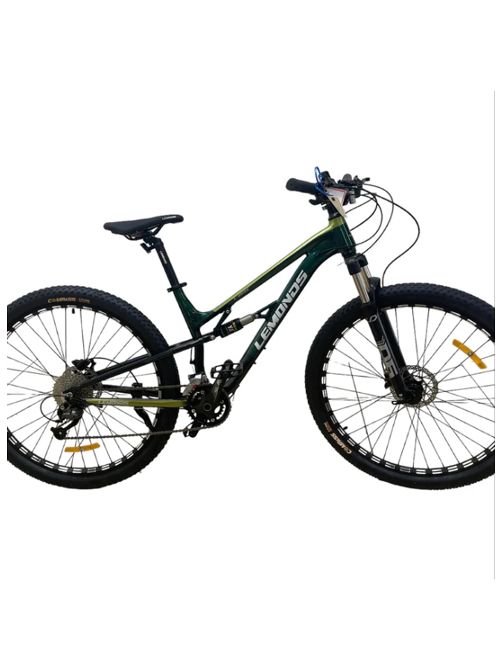 BICICLETA TORNASOL 29