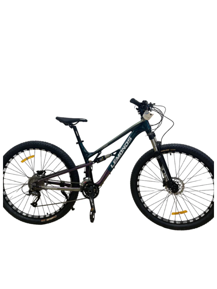 BICICLETA TORNASOL 29