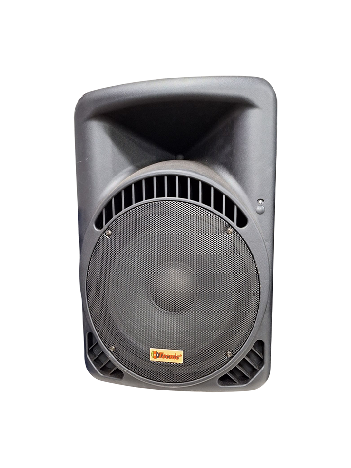 CAJON CON BOCINA  D15PS