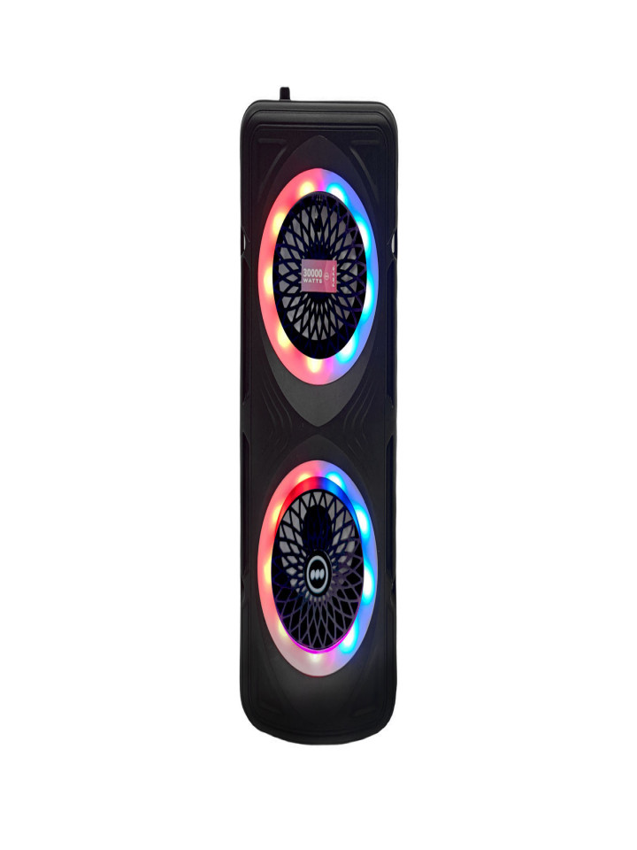 BOCINA 2*4 REC/FM/BT/USB/MICTWS/AUX/CR